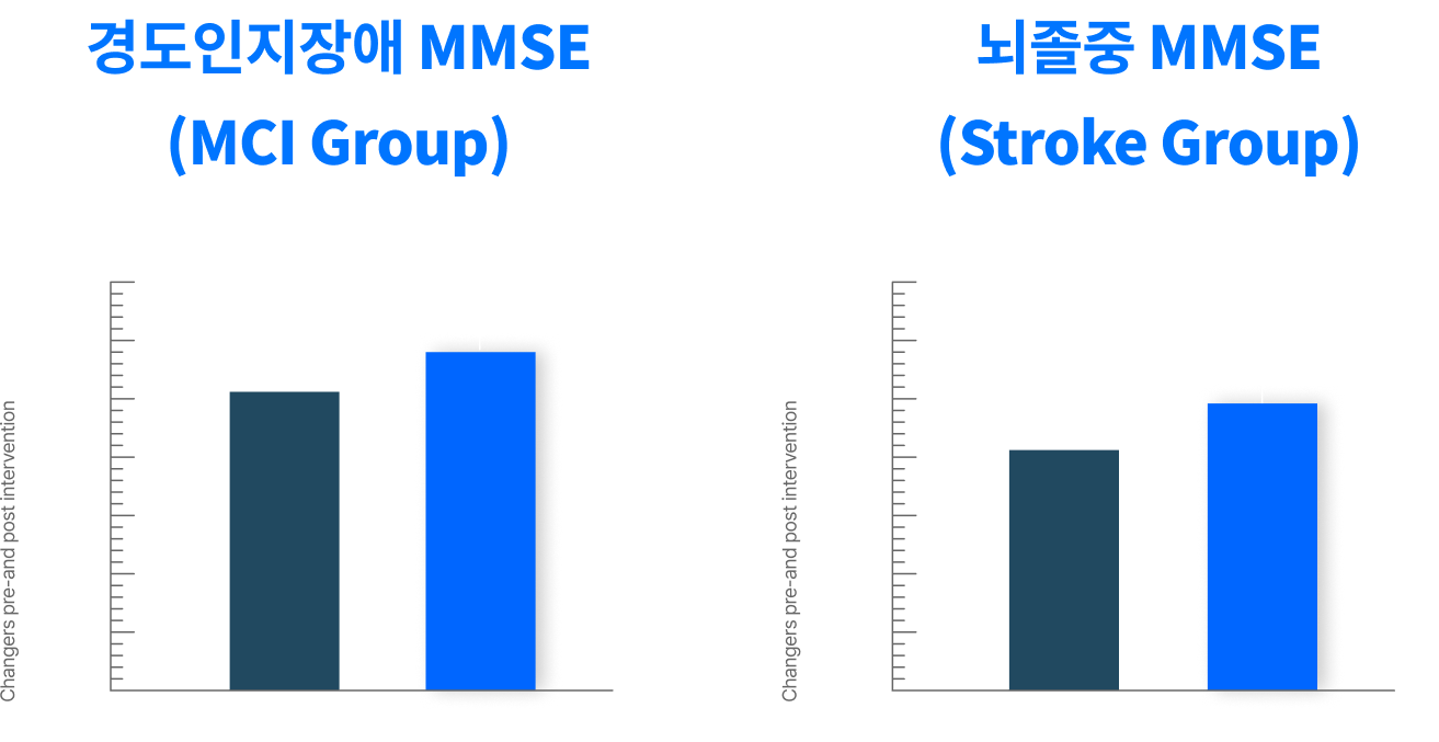 Mild Cognitive/Stroke Graph